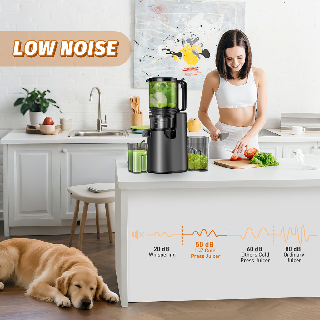Cold Press Juicer, Juicer Machines with 5.4" Wide Feed Chute for Juice Extractor, Professional Slow Masticating Juicer for Whole Vegetables & Fruits with High Juice Yield, Easy to Clean