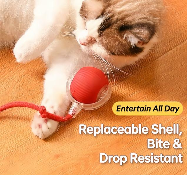 Automatic Cat Toy with Speedy Tail: Smart Chase Ball for Indoor Cats & Kittens - Durable Interactive Play