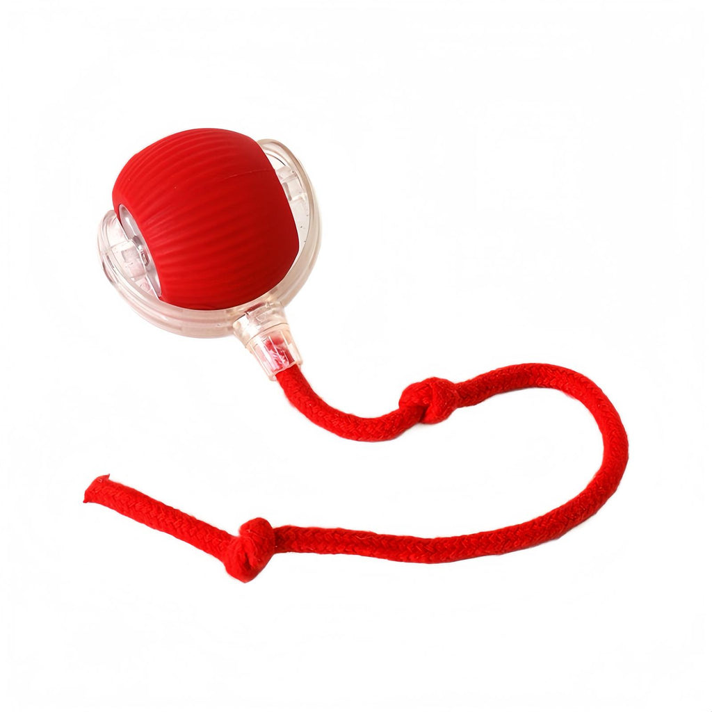 Automatic Cat Toy with Speedy Tail: Smart Chase Ball for Indoor Cats & Kittens - Durable Interactive Play
