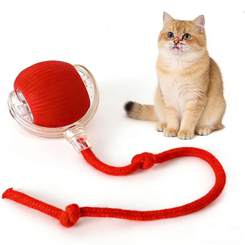 Automatic Cat Toy with Speedy Tail: Smart Chase Ball for Indoor Cats & Kittens - Durable Interactive Play