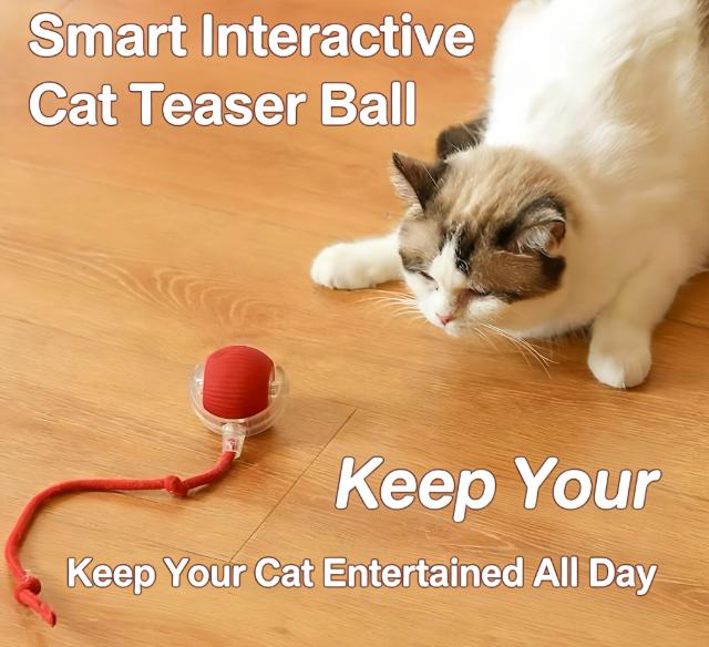 Automatic Cat Toy with Speedy Tail: Smart Chase Ball for Indoor Cats & Kittens - Durable Interactive Play