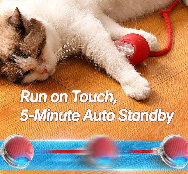 Automatic Cat Toy with Speedy Tail: Smart Chase Ball for Indoor Cats & Kittens - Durable Interactive Play